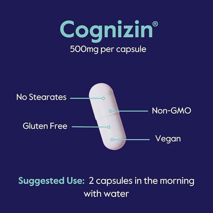 BESTVITE Cognizin 500mg (180 Vegetarian Capsules) (60x3) - Clinically Studied Premium Choline Nootropic - No Stearates - Vegan - Non GMO - Gluten Free - Brain Supplements for Memory and Focus