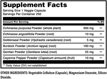 Amazing Formulas Echinacea with Goldenseal Supplement | 450 Mg | 250 Veggie Capsules | Non-GMO | Gluten Free | Made in USA