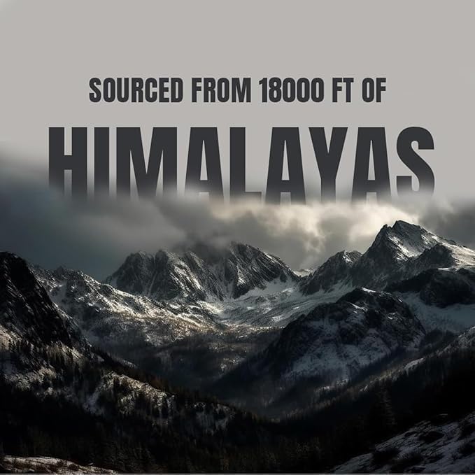 BARGAD Pure Himalayan Shilajit Sticks with Organic Honey & Saffron (7 Count) | Easy Single Use Shilajit Sticks | Boosts Energy & Immunity with 85+ Trace Minerals, 75%+ Fulvic Acid