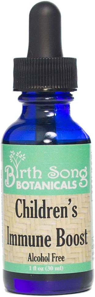 Children's Immune Boost Tincture*, Kids Immune System Support Supplement with Echinacea, Liquid Herbal Immune Drops for Kids, Children's Echinacea Herb Immune Formula 1oz Bottle