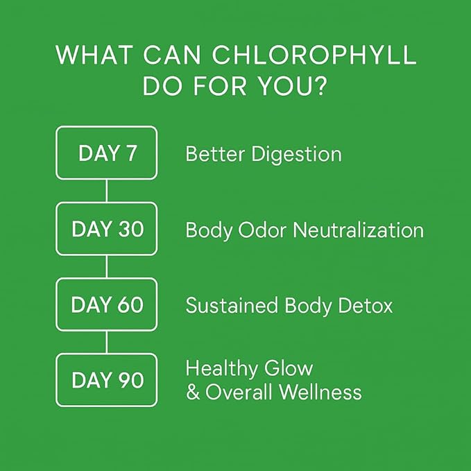 WellPath Chlorophyll Liquid Drops with Copper - High Potency Vegan Liquid Chlorophyll for Body Odor, Liver Detox, Digestion Support & Immune Support - Internal Deodorant, Made in USA, Non-GMO, 2 Fl Oz