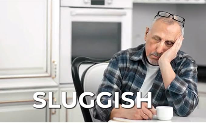 LIVERITE Liver Aid with Milk Thistle 60 Capsules, Liver Support, Liver Cleanse, Liver Care, Liver Function, Energy