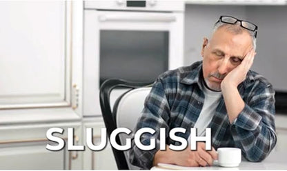 LIVERITE Liver Aid with Milk Thistle 60 Capsules, Liver Support, Liver Cleanse, Liver Care, Liver Function, Energy