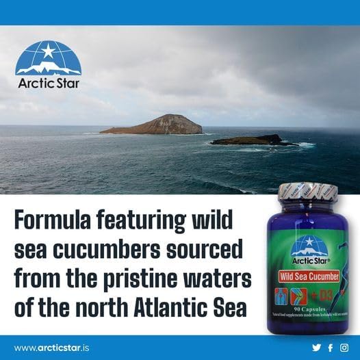 Arctic Star - Sea Cucumber with Vitamin D3 Capsules, Pure Icelandic Wild Caught Sea Cucumber Extract & D3 Supplement Pills - Cucumaria Frondosa 北极星海参+D3胶囊 (90 Capsules, 400mg) 1Bottle