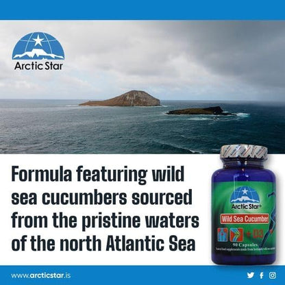Arctic Star - Sea Cucumber with Vitamin D3 Capsules, Pure Icelandic Wild Caught Sea Cucumber Extract & D3 Supplement Pills - Cucumaria Frondosa 北极星海参+D3胶囊 (90 Capsules, 400mg) 1Bottle