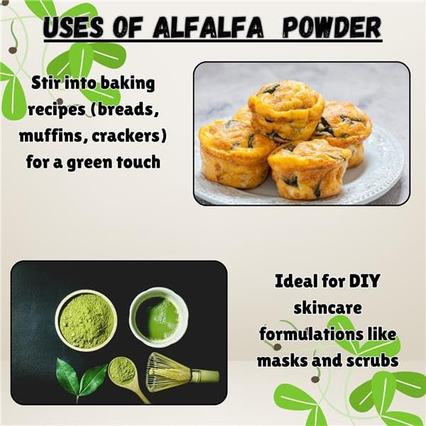 Alfalfa Powder 2lb Superfood Green Powder 2 Pound | Gluten Free Non-GMO Vegan (32 Ounces) [Packaging May Vary]