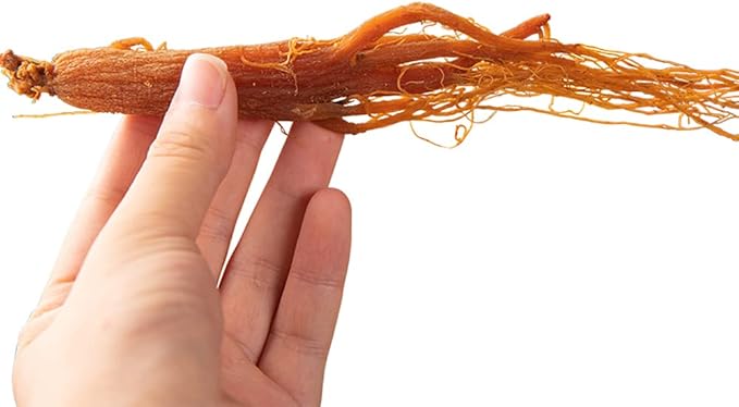 Red Ginseng Roots Whole Root Pieces - Red Panax Ginseng Roots Ginseng Red Ginseng Korean Red Ginseng Supplement Red Ginseng Tea Energy Chews (500 Grams /1.10 lbs)