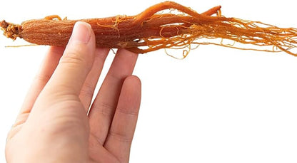 Red Ginseng Roots Whole Root Pieces - Red Panax Ginseng Roots Ginseng Red Ginseng Korean Red Ginseng Supplement Red Ginseng Tea Energy Chews (500 Grams /1.10 lbs)