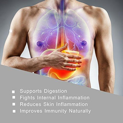 HERBAL HILLS Aloe Vera Capsules (Aloe barbadensis) | 120 Capsules (500 mg) | Pure Aloe Freeze Dried Powder Supplement, High Concentration, Supports Overall Well-Being