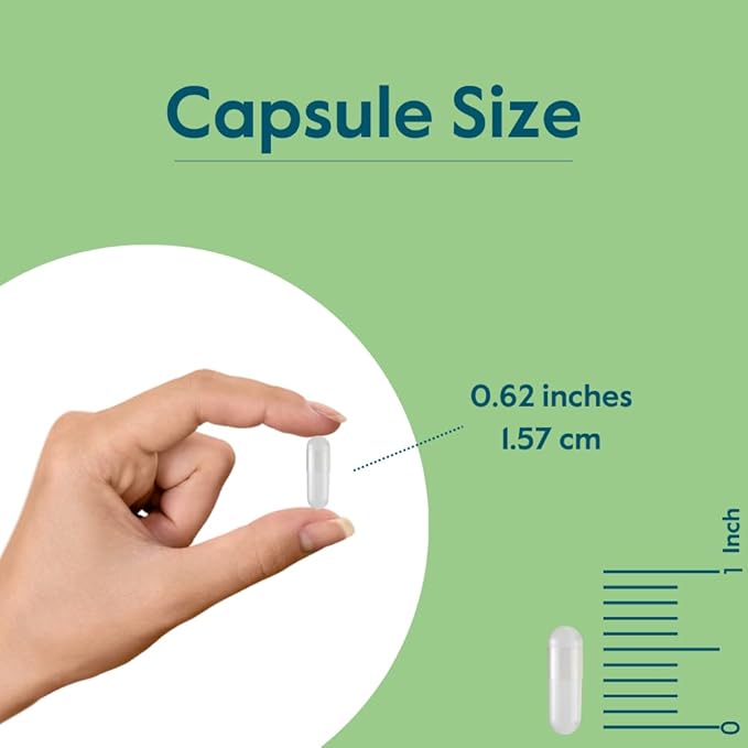 BESTVITE Vegan Vitamin D3 2500 IU (120 Vegetarian Capsules) - No Stearates - Vegan - Non GMO - Gluten Free