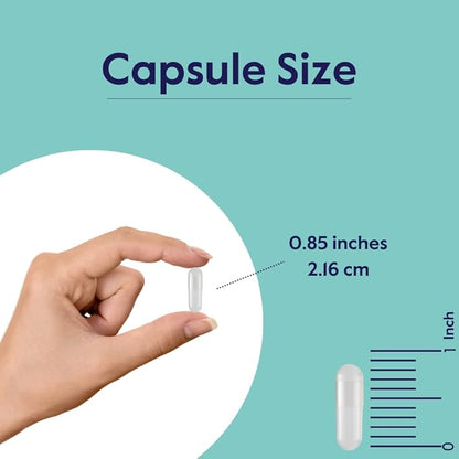 BESTVITE Benfotiamine 300mg (180 Vegetarian Capsules) (60x3) No Stearates - No Silicon Dioxide - Vegan - Non GMO - Gluten Free