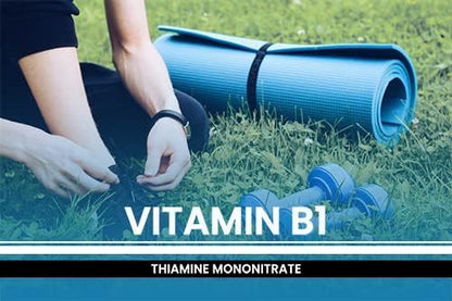 PURE ORIGINAL INGREDIENTS Vitamin B1 (Thiamine Mononitrate) (365 Capsules) No Magnesium Or Rice Fillers, Always Pure, Lab Verified