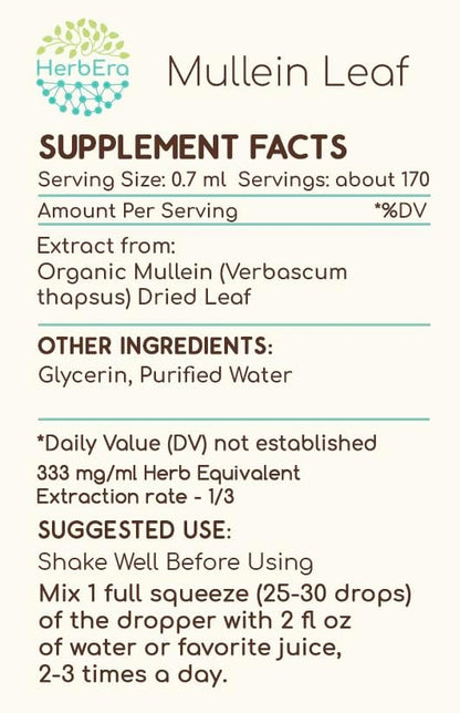 Mullein Leaf B120 Alcohol-Free Herbal Extract Tincture, Super-Concentrated Mullein (Verbascum thapsus) Dried Leaf (4 fl oz)