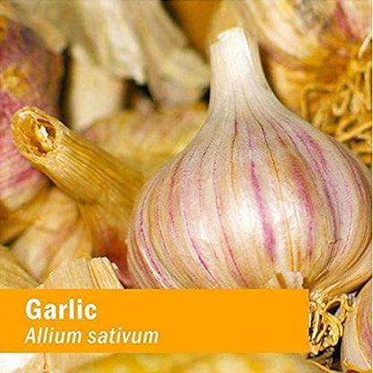 Herb Pharm Certified Organic Garlic Liquid Extract for Cardiovascular and Circulatory Support - 4 Ounce
