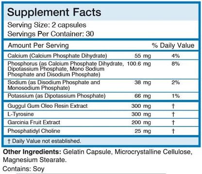 Thyroid T3 Radical Metabolic Support for Women and Men, Energy and Focus, Healthy Thyroid Function, Natural Formula, Non-GMO, No Caffeine, 2 Pack 60 Servings, 120 Capsules