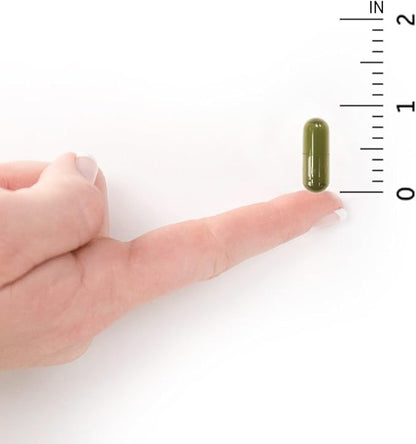 Garden of Life Vitamin D, Vitamin Code Raw D3, Vitamin D 5,000 IU, Raw Whole Food Supplements with Chlorella, Fruit, Veggies & Probiotics for Bone & Immune Health, 60 Vegetarian Capsules