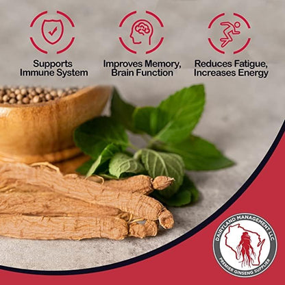 Red Panax Ginseng Root - 8 oz Pack of Korean Panax Ginseng Root - Authentic Panax Ginseng - Non-GMO, Gluten Free Ginseng Root - Use Ginseng in Soup, Tea, Congee