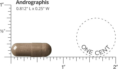 DOCTORS' PREFERRED Andrographis Extract - 1,000 mg/Serving, 120 Vegan Capsules