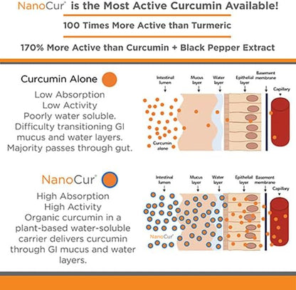 Turmeric Curcumin - 100x More Active Than Turmeric, 170% More Active Than Curcumin + Black Pepper Extract. Joint Support, Relief, and Energy You’ll Feel. Organic Curcumin/Plant-Based Carrier.