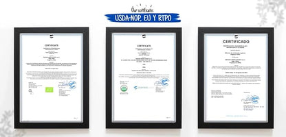 Amazon Andes Sacha Inchi Capsules (Plukenetia volubilis) - Source of Omega 3, 6, 9 with Essential Fatty Acids - Odorless & Sustainably sourced - Brain Function Supporter - 60 Softgel Pills (1000mg)