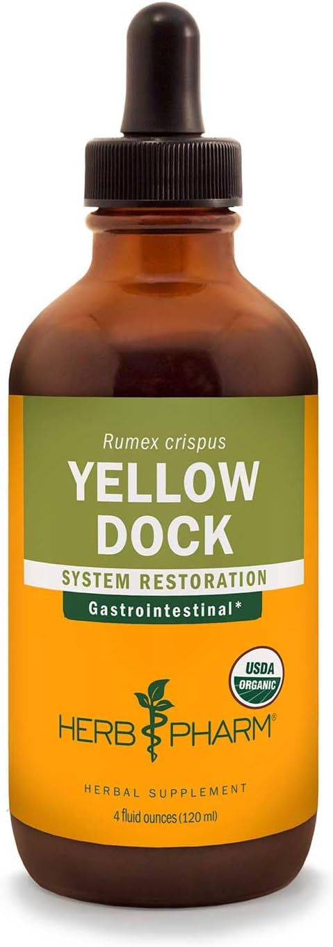 Herb Pharm Yellow Dock Liquid Extract for Digestive System Support - 4 Ounce