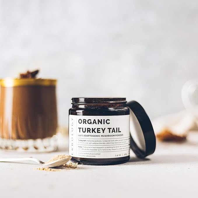 Erbology Organic Turkey Tail Mushroom Powder 40 Servings - 22% Beta-glucans - Prebiotic and Gut Nourishing - Trametes Versicolor - Small Batch - Sustainably Grown in Europe - Vegan - Non-GMO