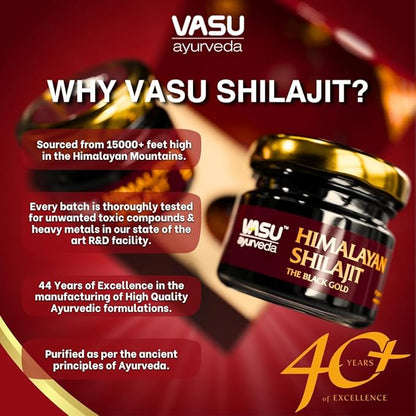 VASU Ayurveda Himalayan Shilajit Resin 400mg – Lab Tested Natural Energy Booster with Fulvic Acid & 85+ Trace Minerals – Pure Shilajit for Men & Women – 100 Days Supply for Strength & Stamina (2-Pack)