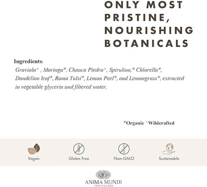 Anima Mundi Apothecary Viridem Greens Detox Elixir - GI & Liver Detox Liquid Supplement, Natural Herb Cleanse with Chlorophyll, Moringa + Organic Chlorella - Add to Juice & Alkalizing Teas (2oz)