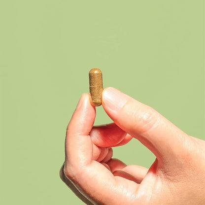 Plant People - Immune Power | Advanced Immune Support with Mushrooms, Astragalus, Herbal, and Vitamin C | Natural, USDA Organic, Vegan, Non-GMO, Gluten Free, Vitamins and Supplements | 60 Capsules