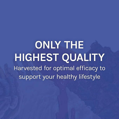 Host Defense Stamets 7-7 Species Blend - Mushroom Supplement for Immune Support - Includes Royal Sun Blazei, Cordyceps, Reishi, Maitake, Lion's Mane, Chaga & Mesima - 30 Capsules (15 Servings)*