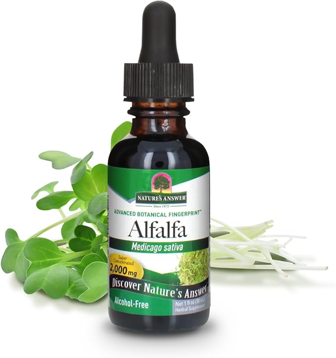 Nature's Answer Alcohol-Free Alfalfa Herb Extract, 1-Fluid Ounce Supports Immune System, Blood, Digestion, Energy Levels - Helps with Detoxification
