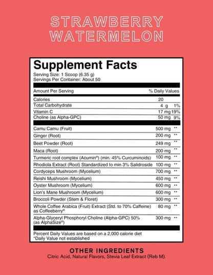 Roots Focus Nootropic Brain Supplement - Strawberry Watermelon & Spicy Pineapple- Lion's Mane, Cordyceps, & Reishi Functional Mushrooms + Extended-Release Caffeine, 100 Servings
