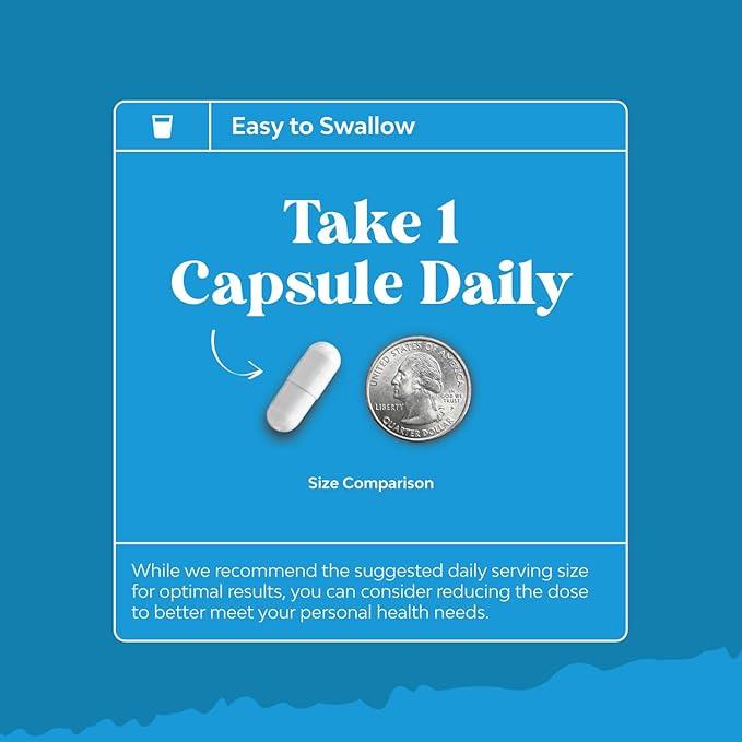 NAC Supplement N-Acetyl Cysteine 600mg - Potent Vegan High Absorption NAC 600 mg Capsules Glutathione Precursor for Liver Cleanse Detox & Repair plus Lung Health and Immunity Support - 180ct 2pk