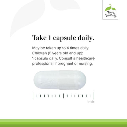 Terry Naturally BioActive Magnesium Complex - Bone & Heart Health Support - Supplement with Vitamin B6, Zinc & Magnesium - Pyridoxal-5-Phosphate Vegan Capsule Supplement - 60 Capsules