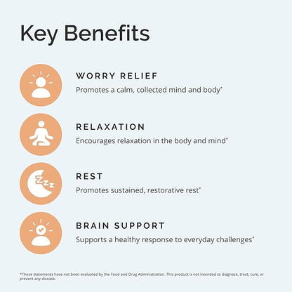 Dr Amen BrainMD Calm My Brain - 90 Vegan Capsules - Fast-Acting Formula with Magnesium, Ashwagandha & L-Theanine - 30 Servings