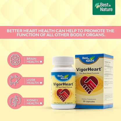 VigorHeart-The Natural Heart Supplements Pills with Coq 10, Salvia Miltiorrhiza, and Panax Pseudoginseng (30 Capsules)