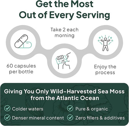 Wild Sea Moss Capsules - 100% Organic Irish Sea Moss with Organic Chlorella, Bladderwrack and Vitamin D for Energy, Lung Health and Thyroid Support for Women and Men - 60 Capsules