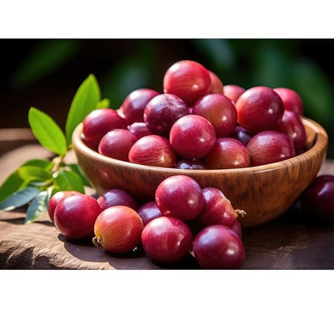 Camu Camu powder. 5.3 oz. Non-GMO, high Vitamin C content, antioxidants and immune support.