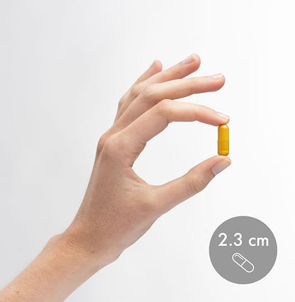 Dr. Mercola Organic Fermented Turmeric - 370 mg Fermented Turmeric - High-Bioavailability Curcuminoids - USDA Organic, Non-GMO, Gluten-Free & Soy-Free - 60 Capsules (30 Servings)