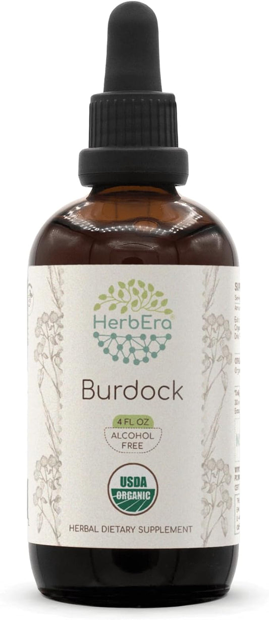 Burdock B120 USDA Organic Tincture | Alcohol-Free Extract, High-Potency Herbal Drops | Certified Organic Burdock (Arctium lappa) Dried Root (4 oz)