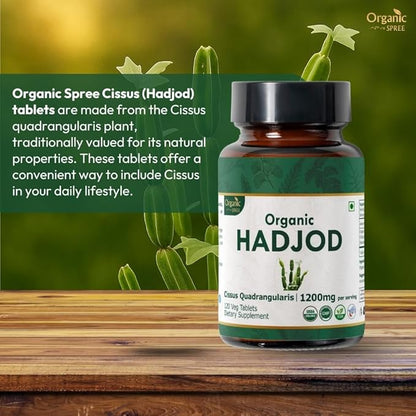 HADJOD - CISSUS 120 Tablets | Cissus Quadrangularis (Hadjod) | USDA Organic Certified | Organic and Natural 120tab - Pack of 3