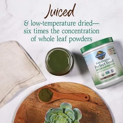 Garden of Life Raw Organic Perfect Food Green Superfood Juiced Greens Powder - Chocolate, 30 Servings (Packaging May Vary)