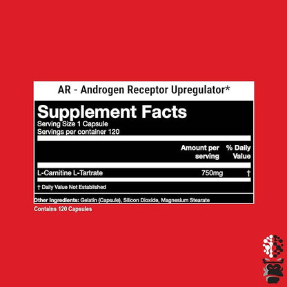 Gorilla Mind AR Carnitine 750mg Capsules Androgen Receptor Upregulator,Boosts Cellular Energy, Upregulates Androgen Receptor Density,Shuttles Fatty Acids (120 Capsules)