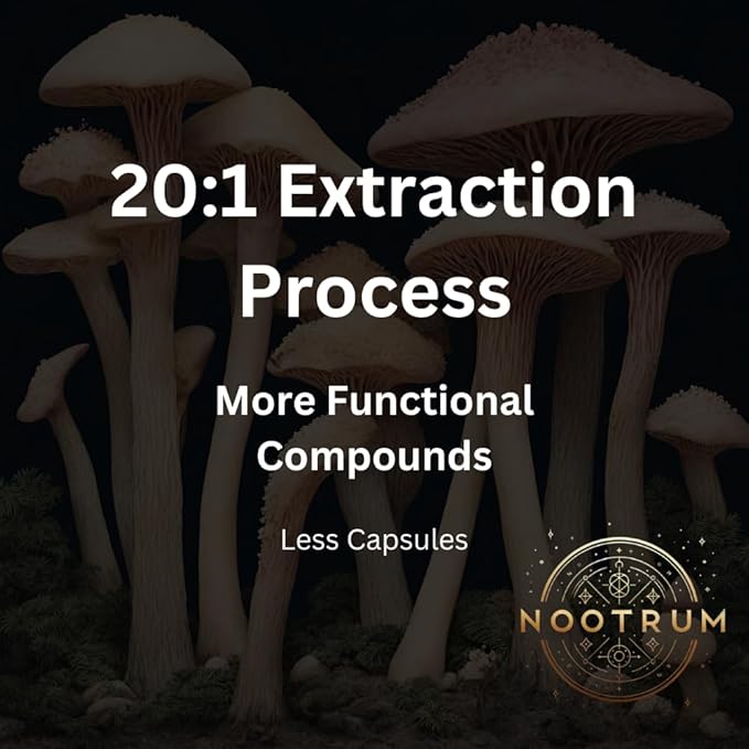 Mushrooms, 1 Month Supply of Capsules: Containing Lion's Mane, Cordyceps, Reishi and More.