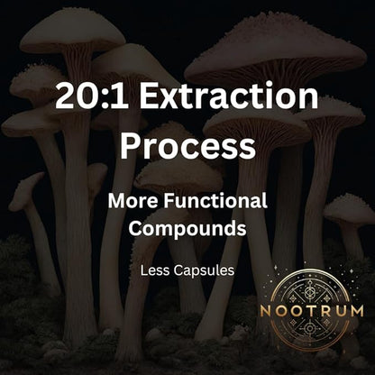 Mushrooms, 1 Month Supply of Capsules: Containing Lion's Mane, Cordyceps, Reishi and More.