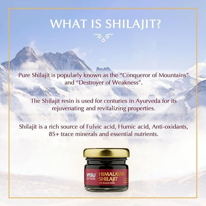 VASU Ayurveda Himalayan Shilajit Resin 400mg – Lab Tested Natural Energy Booster with Fulvic Acid & 85+ Trace Minerals – Pure Shilajit for Men & Women – 100 Days Supply for Strength & Stamina (2-Pack)