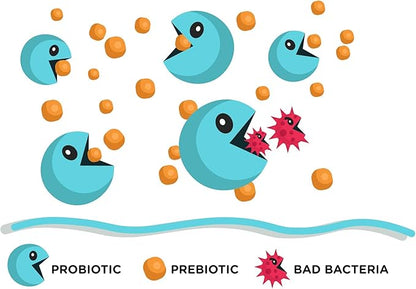Lean & Pure Prebiotic & Probiotic, 25 Billion Live and Shelf Stable Cultures, 30 Count, Non GMO, Vegetarian, Gluten Free