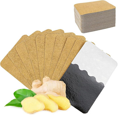 100 Packs Ginger Pad,Herbal Ginger Patches,Traditional Medicine Herbal Paste for Body