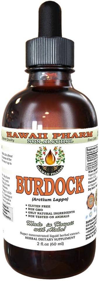 Burdock Alcohol-Free Liquid Extract, Organic Burdock (Arctium Lappa) Dried Root Glycerite Hawaii Pharm Natural Herbal Supplement 2 oz