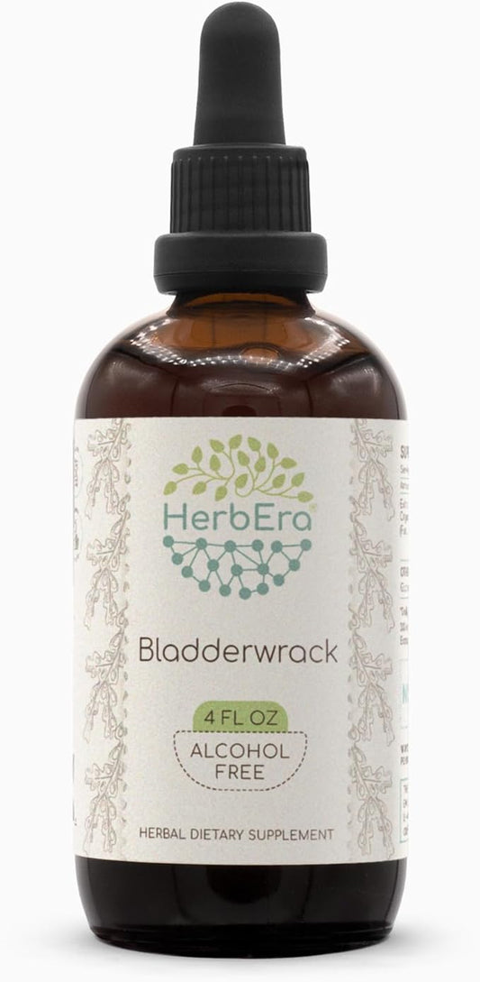 Bladderwrack B120 Alcohol-Free Herbal Extract Tincture, Concentrated Liquid Drops Natural Bladderwrack (Fucus Vesiculosus) Dried Plant (4 fl oz)